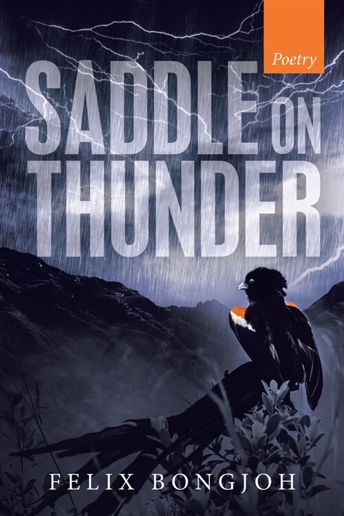 Saddle on Thunder (Paperback)