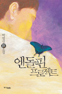 엔돌핀 프로젝트 :박범신 소설 