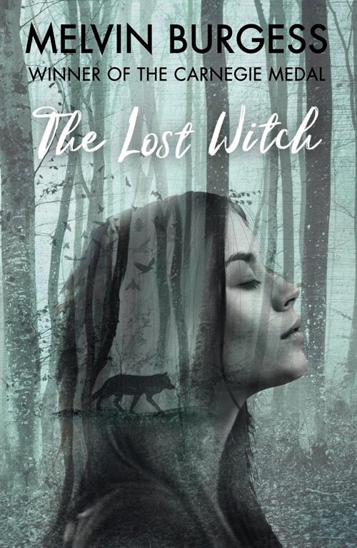 The Lost Witch (Paperback)