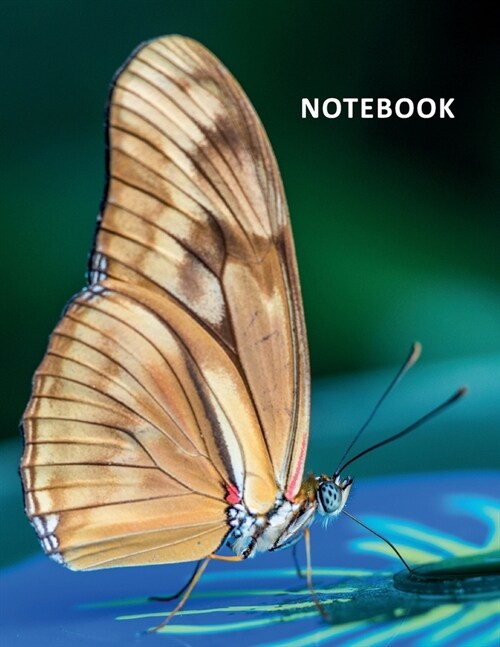 College Ruled Notebook: Barboleta Stylish Composition Book Daily Journal Notepad Diary for Butterfly Lovers (Paperback)