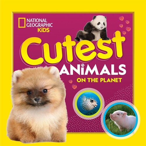 Cutest Animals on the Planet (Paperback)