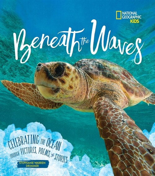 Beneath the Waves: Celebrating the Ocean Through Pictures, Poems, and Stories (Hardcover)