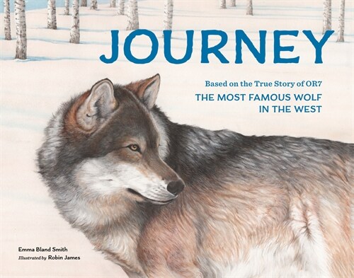 Journey: Based on the True Story of Or7, the Most Famous Wolf in the West (Paperback)