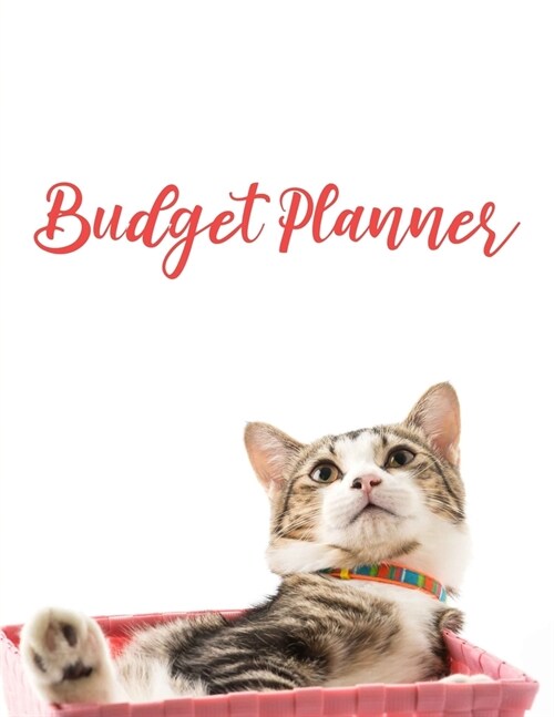 Budget Planner: Expense Finance Budget By A Year Monthly Weekly & Daily Bill Budgeting Planner And Organizer Tracker Workbook Journal (Paperback)