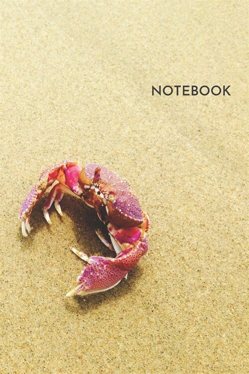 Crustacean Notebook: Golden Sand Blank Lined College Ruled Notebook 6x9 Inches 100 Pages (Paperback)