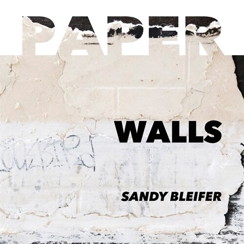 Paper: Walls: Vulnerability and Resilience of Urban Surfaces (Paperback)