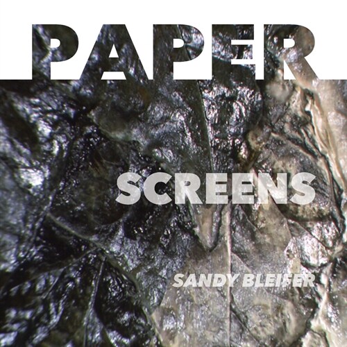 Paper: Screens: Enabling a Sequential Reading of Art (Paperback)