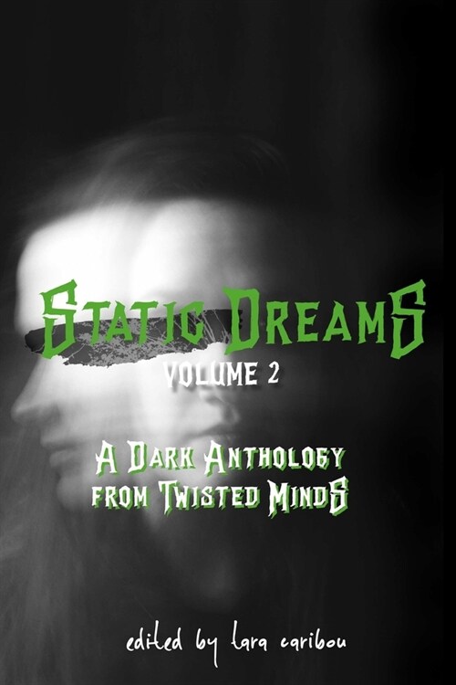 Static Dreams Volume 2: A Dark Anthology from Twisted Minds (Paperback)