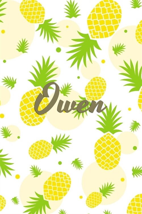 Owen: Personalized Pineapple fruit themed Dotted Grid Notebook Bullet Grid Journal teacher gift teacher Appreciation Day Gif (Paperback)