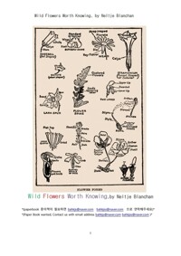 알아야할 가치가 있는 들꽃 야생초들 (Wild Flowers Worth Knowing, by Neltje Blanchan) 커버