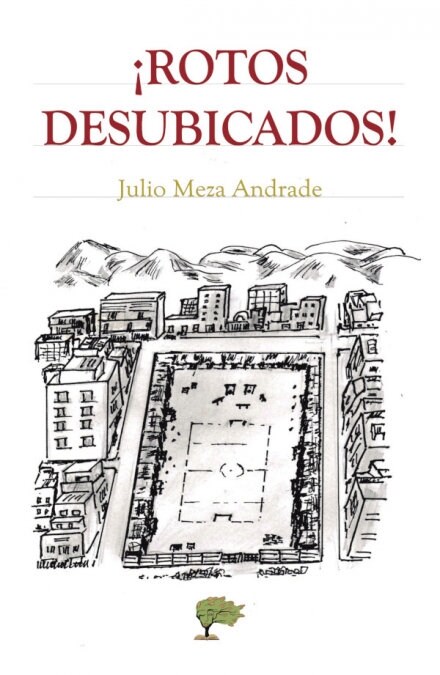 IROTOS DESUBICADOS! (Book)