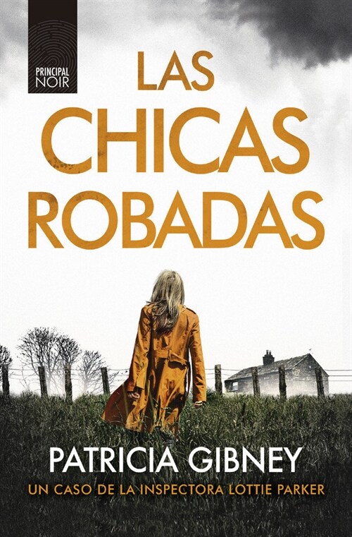LAS CHICAS ROBADAS (Paperback)