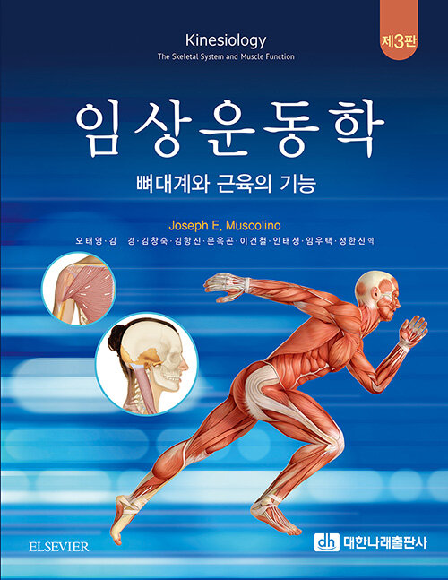 [중고] 임상운동학 : 뼈대계와 근육의 기능