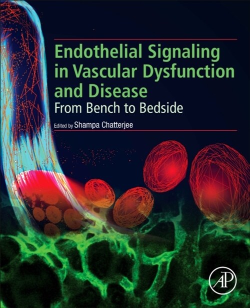 Endothelial Signaling in Vascular Dysfunction and Disease: From Bench to Bedside (Paperback)