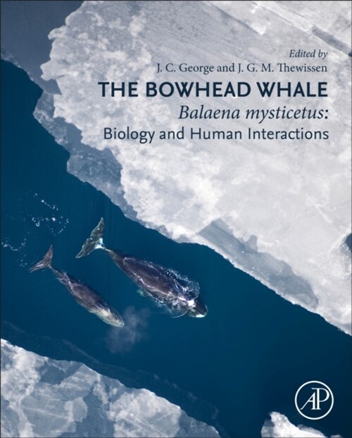 The Bowhead Whale: Balaena Mysticetus: Biology and Human Interactions (Hardcover)