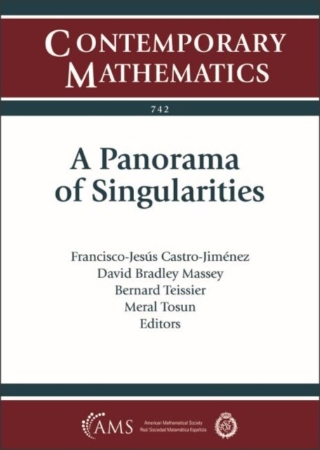 A Panorama of Singularities (Paperback)