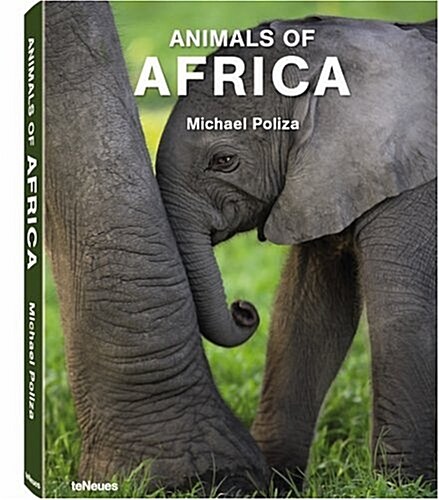 Animals of Africa (Hardcover)