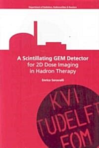 A Scintillating GEM Detector for 2D Dose Imaging in Hadron Therapy (Paperback, 1st)