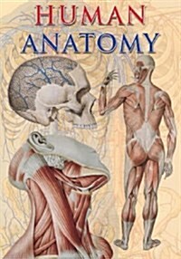 [중고] Human Anatomy (Hardcover, Chart)