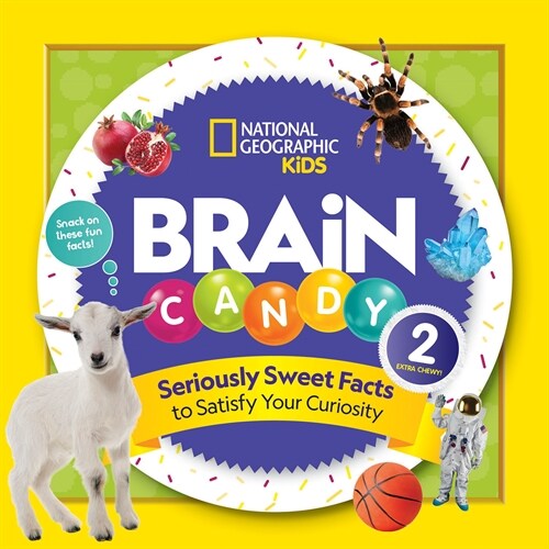 Brain Candy 2 (Library Binding)