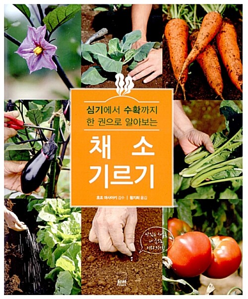 [중고] 채소 기르기