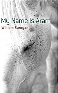 My Name is Aram (Paperback)
