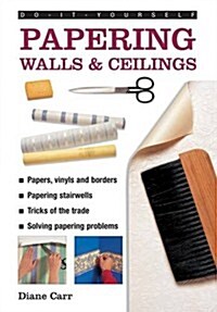 Do-it-yourself Papering Walls & Ceilings : A Practical Guide to All You Need to Know About Papering Techniques Throughout the Home (Hardcover)