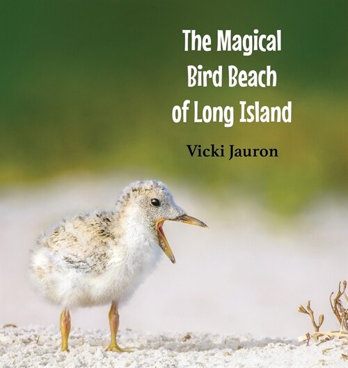 The Magical Bird Beach of Long Island: A Childrens Rhyming Picture Book About Shore Birds on Long Island (Hardcover)