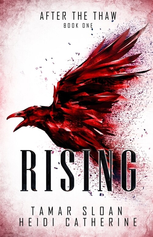 Rising: Book 1 After The Thaw (Paperback)