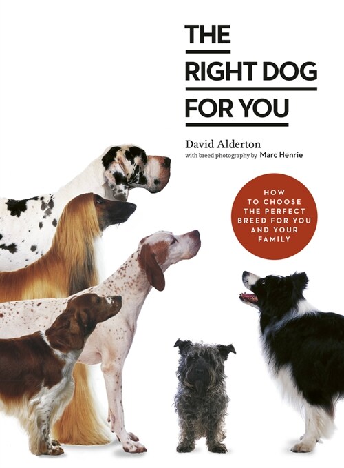 The Right Dog for You : How to choose the perfect breed for you and your family (Paperback)