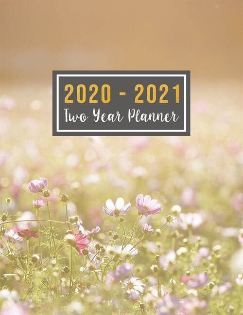 2020-2021 Two Year Planner: 2020-2021 See It Bigger Planner Full Size - 24-month Planner & Calendar. Size: 8.5 X 11 ( Jan 2020 - Dec 2021). Two (Paperback)