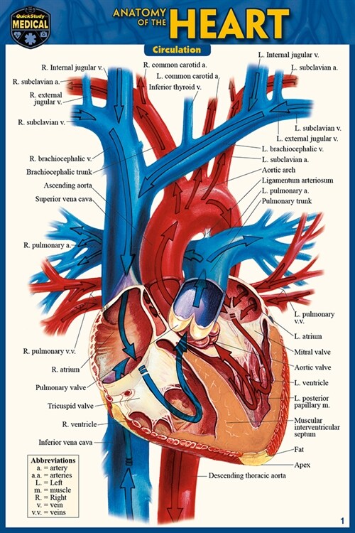 Anatomy of the Heart (Pocket-Sized Edition - 4x6 Inches) (Other, 2, Second Edition)