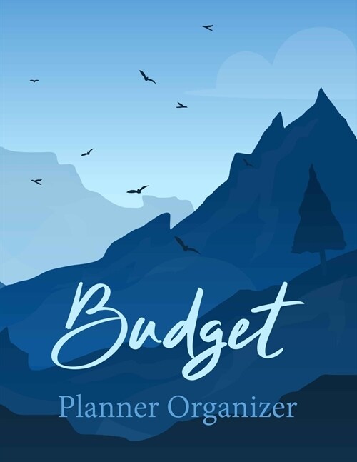 Budget Planner Organizer: Daily Weekly Monthly Budget Planner Workbook, Bill Payment Log Debt Organizer with Income Expenses Tracker Savings Bud (Paperback)