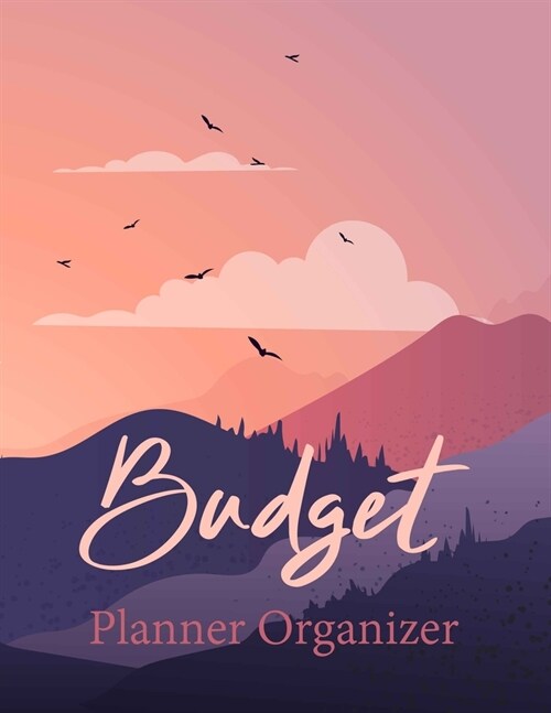 Budget Planner Organizer: Daily Weekly Monthly Budget Planner Workbook, Bill Payment Log Debt Organizer with Income Expenses Tracker Savings Bud (Paperback)