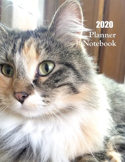 2020 Planner Notebook: Cute Tabby Mix Planner Book With Monthly and Weekly Calendars, Monthly Habit Tracker, Vision Board and Brain Dump Shee (Paperback)