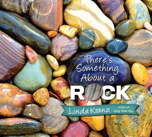Theres Something about a Rock (Hardcover)
