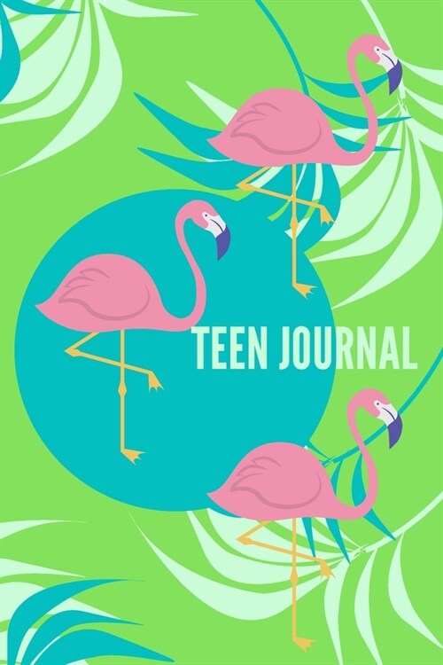 Teen Journal: Daily Gratitude, Notes, and Sketch Pages. Can Be Used as a Diary. (Paperback)