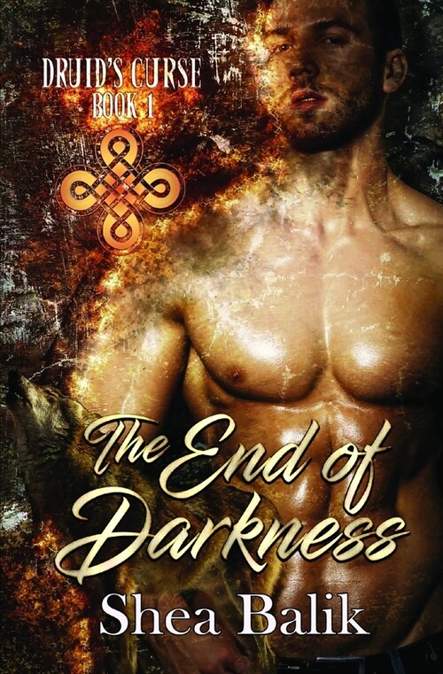 The End of Darkness (Paperback)