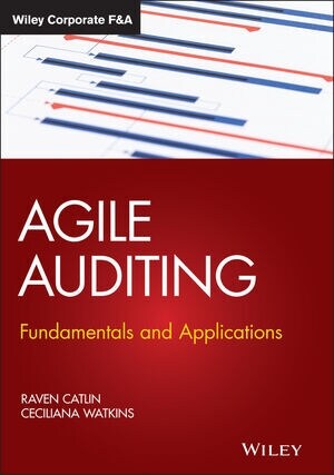 Agile Auditing: Fundamentals and Applications (Hardcover)