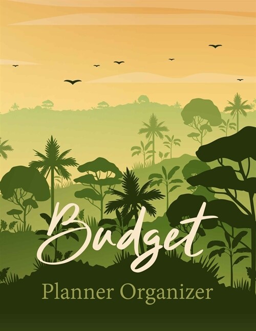 Budget Planner Organizer: Daily Weekly Monthly Budget Planner Workbook, Bill Payment Log Debt Organizer with Income Expenses Tracker Savings Bud (Paperback)