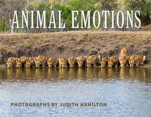 Animal Emotions (Paperback)