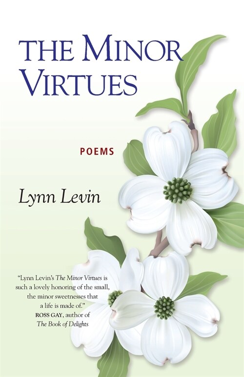 The Minor Virtues: Poems (Paperback)