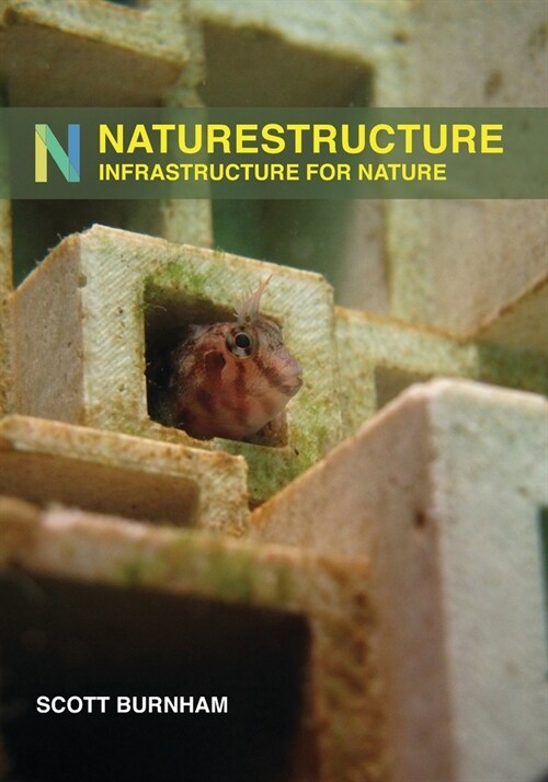 NatureStructure: Infrastructure for Nature (Paperback)