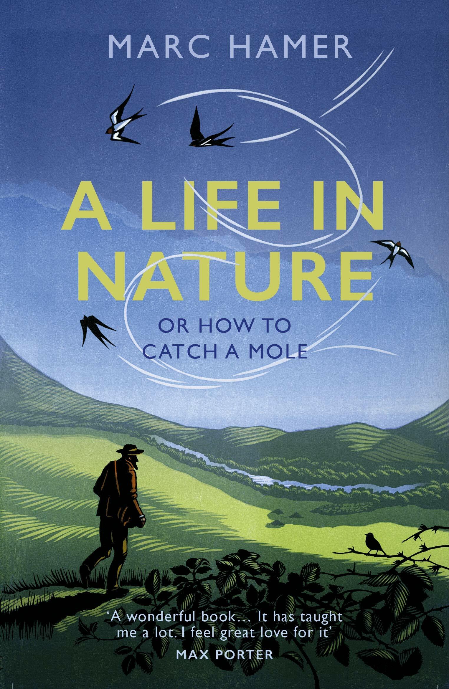 A Life in Nature : Or How to Catch a Mole (Paperback)