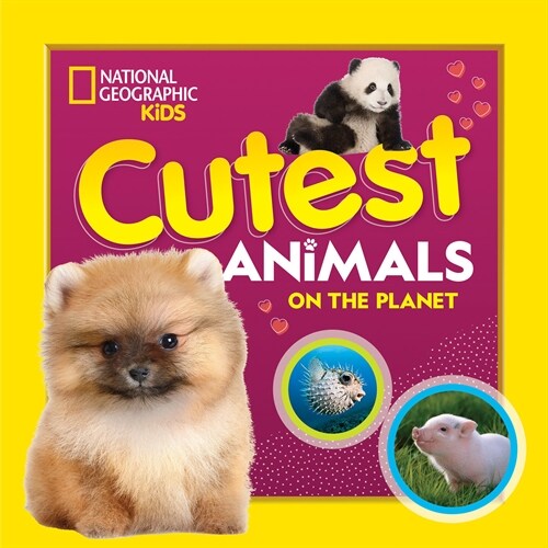Cutest Animals on the Planet (Library Binding)
