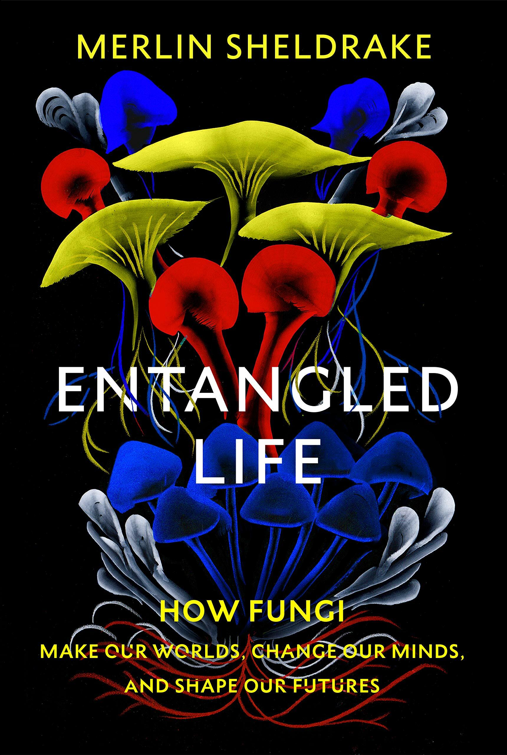 Entangled Life : How Fungi Make Our Worlds, Change Our Minds and Shape Our Futures (Hardcover)