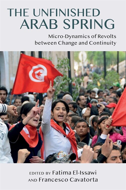 The Unfinished Arab Spring : Micro-Dynamics of Revolts between Change and Continuity (Hardcover)