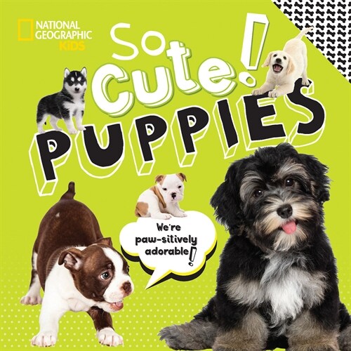 So Cute! Puppies (Library Binding)