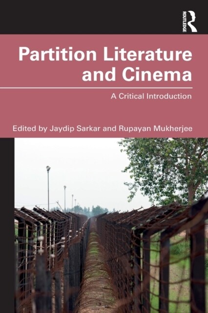 Partition Literature and Cinema : A Critical Introduction (Paperback)