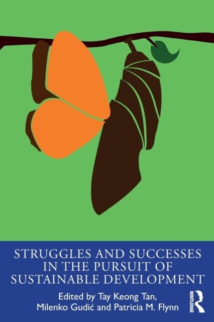 Struggles and Successes in the Pursuit of Sustainable Development (Paperback, 1)